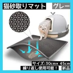 Item thumbnail for item dc354589-429e-46e7-b4ab-44bc9baa1ab7