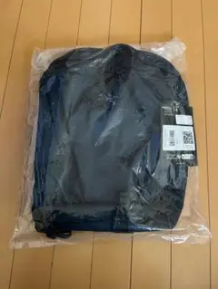 アークテリクス ヒリアド 15 バックパック 新品 ARC'TERYX バッグ
