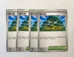 ポケモンカード メガシンフォニア スタジアム 活力の森 4枚
