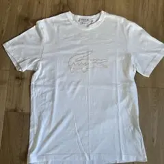 ラコステ ビッグワニ Tシャツ