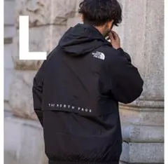 新品未使用　韓国正規品　ノースフェイス　VILAN EX JACKET 2XL 新品未使用 韓国正規品 ノースフェイス VILAN EX JACKET Lサイズ