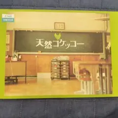 映画「天然コケッコー」のパンフレット＋クリアファイル