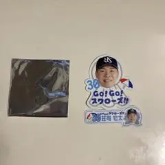 ヤクルト　スワポン　荘司宏太