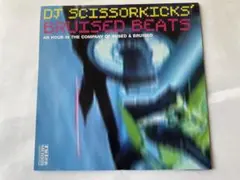 DJ SCISSORKICKS BRUISED BEATS DJシザーキックス