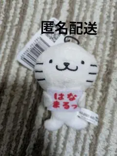 サンリオ　バッドばつ丸　毎日エンジョイ　グッドはな丸マスコット