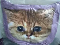 ポールアンドジョー　クッション