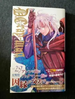D.Gray-man 29巻