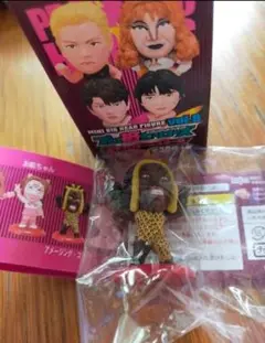 プロ格ヒーローズ　女子プロレスラーオールスターズ３０個セット プロ格ヒーローズ 女子プロレスラーオールスターズ30個セット