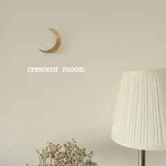 真鍮【三日月】　　北欧暮らしの道具店 ZARAHOME 　オルネドフォイユ