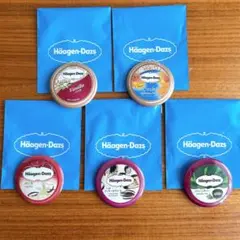 ハーゲンダッツアイスクリーム　非売品　ノベルティ　缶バッジ　5個セット
