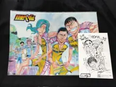 【コミケ】弱虫ペダル クリアファイル 特典カード