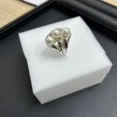 Item thumbnail for item 5161c01a-01da-4105-b4a0-75b06be026ec