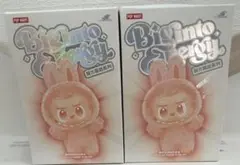 ☆新品・未開封☆ラブブ POP MART 送料込 み2箱(2体)セット