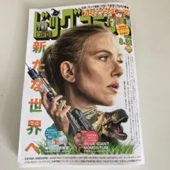 ビッグコミック　2025 8.25