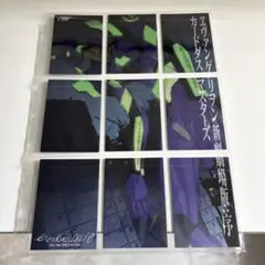 【超美品】エヴァンゲリヲン　新劇場版: 序　カードダスマスターズ9枚セット