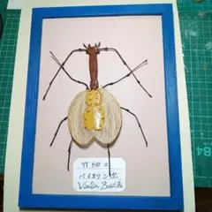 作品58:竹細工昆虫　[ バイオリン虫]