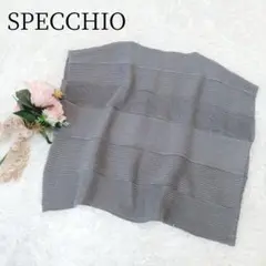 【SPECCHIO/スペッチオ】シャトルプリーツ　カットソー　変型　近年　洗える