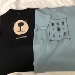 モンベル140速乾Tシャツくま昆虫カブトムシ甲虫ブラック