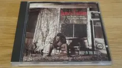 DEEP IN THE BLUES JAMES COTTONジェイムズ・コットン