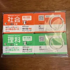 Item thumbnail for item 464bd4dc-9310-4d30-bcfd-c9d37f62f4ac