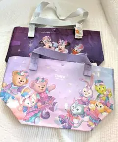 香港ディズニーランド　エコバッグ　小　2枚セット