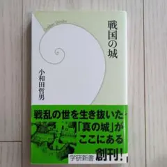 戦国の城