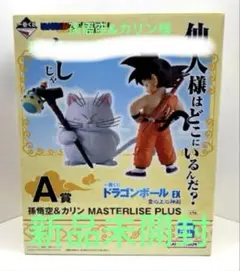 Item thumbnail for item 2c51aebd-28d5-43fa-aa9f-7c3d5af7aa5d