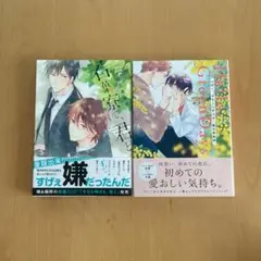 佐久本あゆ　BLコミック2冊まとめ売りB