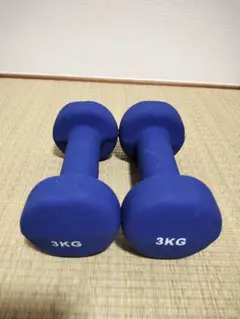 3KG ダンベルセット　青