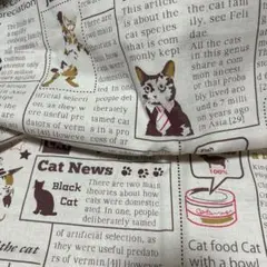 猫、新聞柄生地　英字柄　綿シーチング生地
