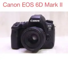 Item thumbnail for item ec0736f6-ae7e-44bc-8493-3449c59c594e