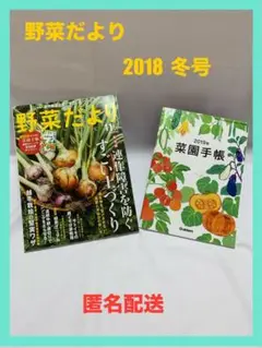 【匿名配送】 野菜だより 2018年11月号 冬号 別冊付録付き