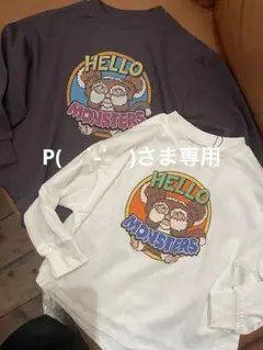 ☆ P(　˙-˙　)さま　専用　☆