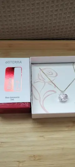 【新品未使用 】ドテラdōTERRA ローズリュクス アロマ ネックレス 2025年最新】ドテラ ネックレスの人気アイテム - メルカリ