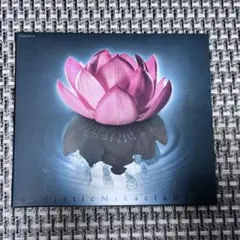 サディスティック・ミカ・バンド ナルキッソス CD