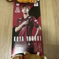 汰木康也ポスター