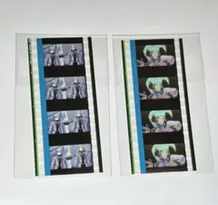 コマフィルム②