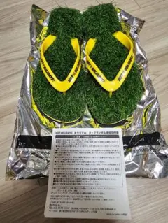 JRA　芝生サンダル　中京競馬場