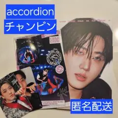 Stray Kids KARMA ACCORDION コンプ　チャンビン