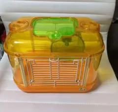 Item thumbnail for item 55b78486-ae1d-40aa-a79e-15212461dfa2