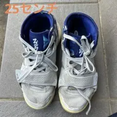 バスケ　バッシュ　25センチ