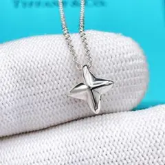 TIFFANY&Co. ティファニー☆シリウススターネックレス☆ 【希少品】 TIFFANY&Co. ティファニー☆シリウススターネックレス☆ 【希少