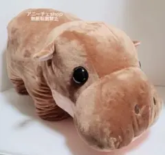 ちびかば　ヒポポン　ウルトラBIGぬいぐるみ コビトカバ　50cm