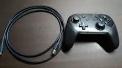Switch プロコン