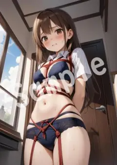 1点物 JK アニメ ファンアート A4 ポスター イラスト ★00068742