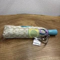 Item thumbnail for item b73b9f45-8fd1-4f3d-8f70-10620d5dae83