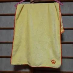 Item thumbnail for item 3926cf10-907b-4ab1-8931-230debc1d582