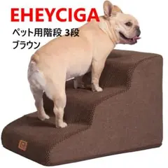 Item thumbnail for item 037f9924-5035-477c-9d1a-e5ec75cf49f4