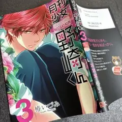 月刊少女野崎くん　3巻　アニメイト　特典　限定版　ブックカバー　非売品 みこりん