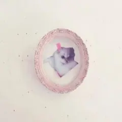 写真確認用ページ